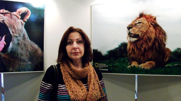 Елена Сорочкина