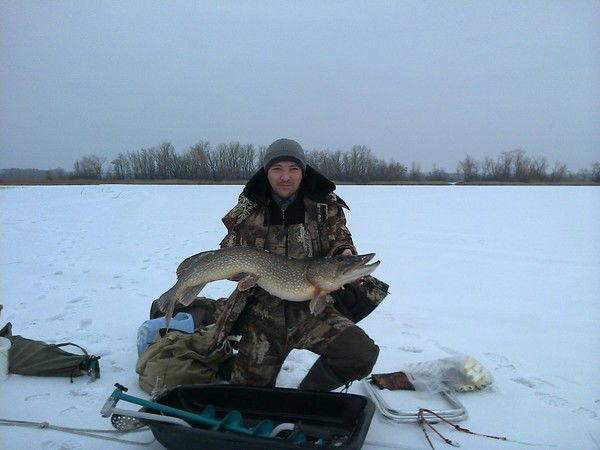 Александр Тихомолов