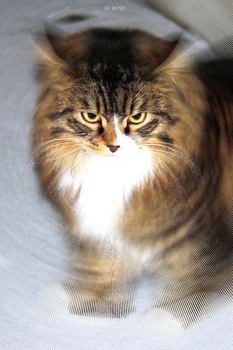 Виктор Иванов