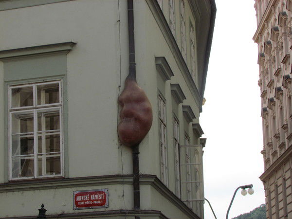 Гульшат Сулейменова