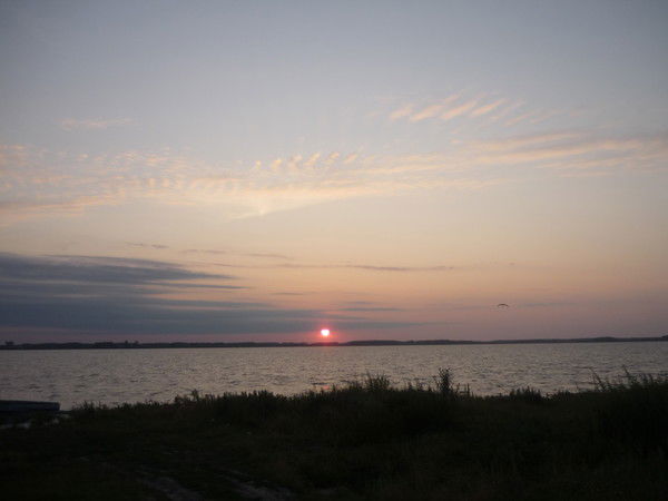 Алена Парвулюсова