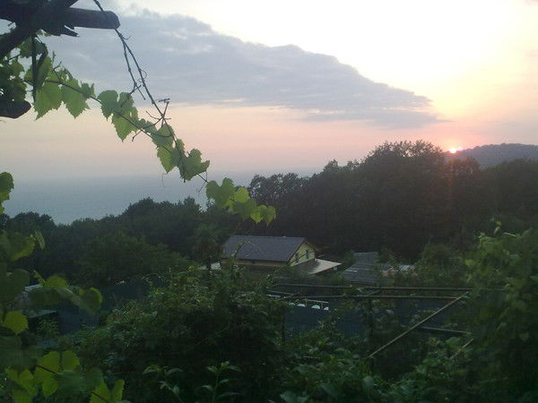 Гнездилов Александр