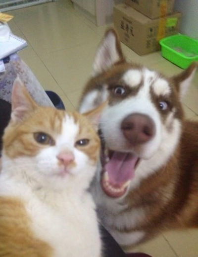 Дима Нацаренус