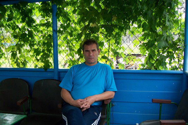 Андрей Шеин