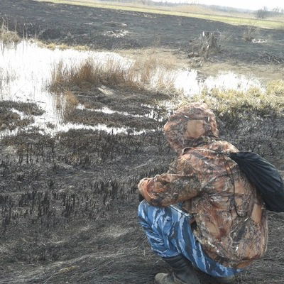 Дима Щебетин