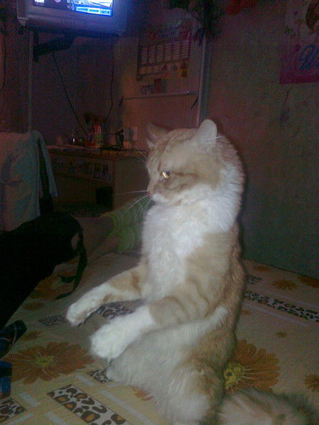 Юрий Воробьёв