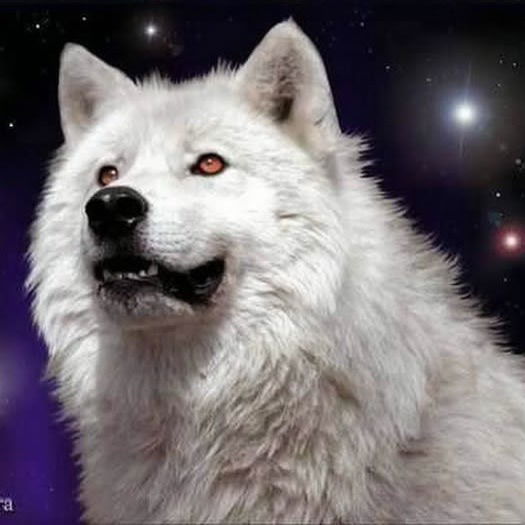 Андрей Баранов