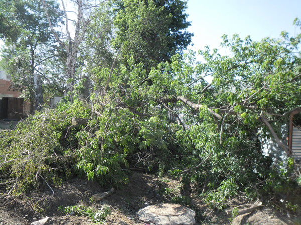 Евгений Никитин