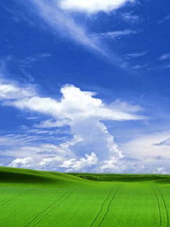 Михаил Зотов