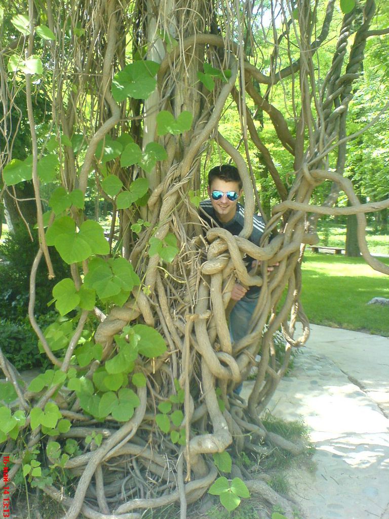 Алексей Кулаков