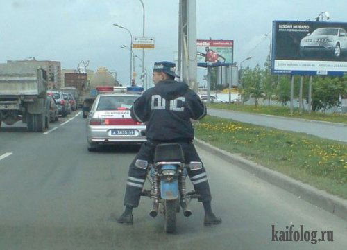 Николай Новиков