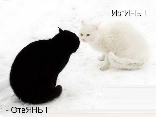 Данила Горный