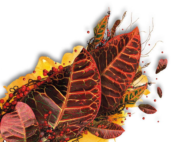 Юлия Маркова