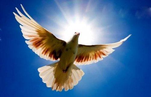 Алексей Евсеев