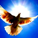 Алексей Евсеев