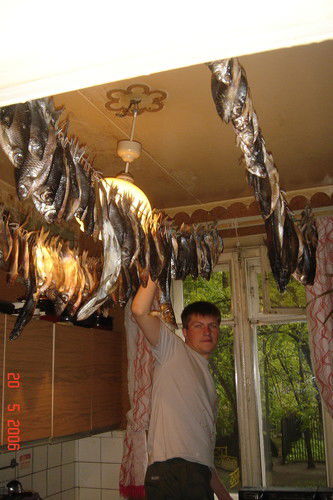 Андрей Тимохин