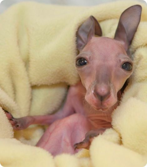 Колян Алексанрыгорыча