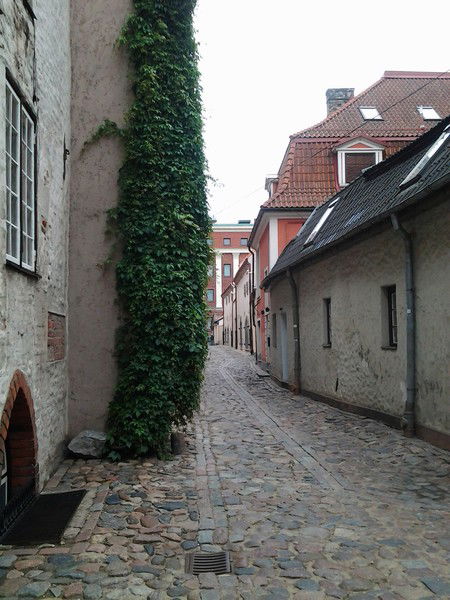 Андрей Левитский