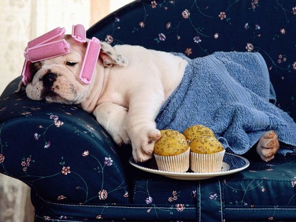 Татьяна Слепцова