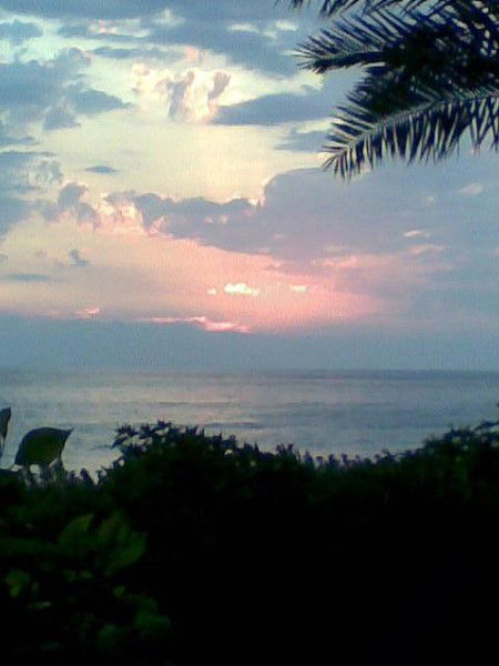 Ооо  Лик Арясова