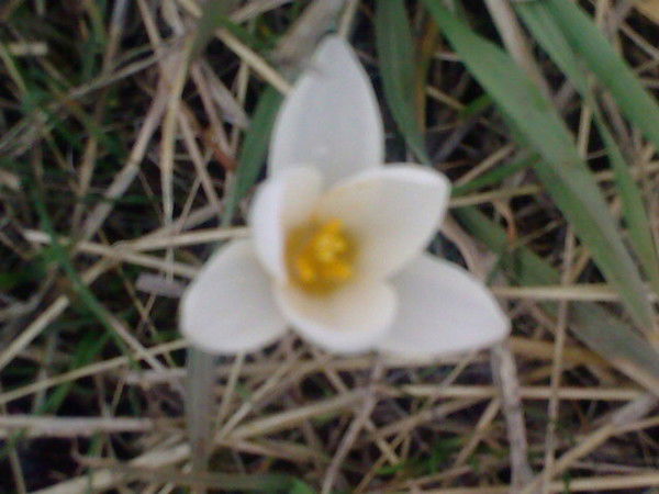 Жайна Сейткулова