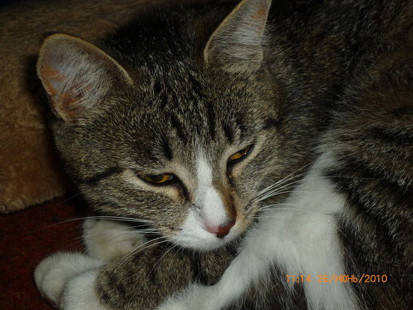 Татьяна Жизнь Моя