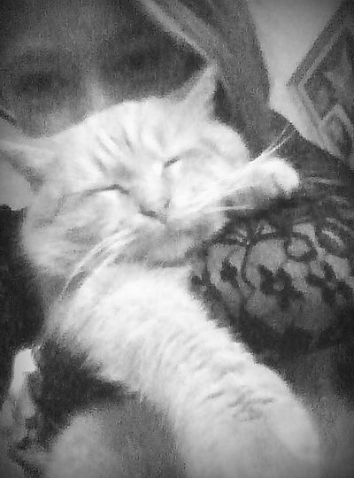 Виктория Богатырёва