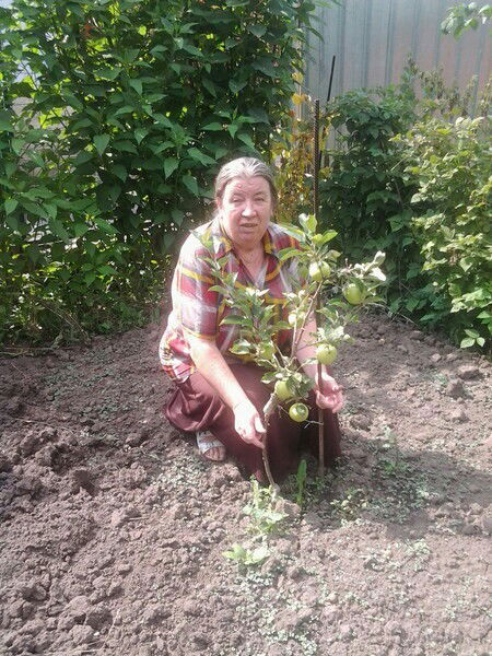 Олга Хромова