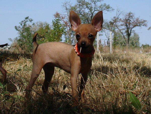 Сергей Миронов