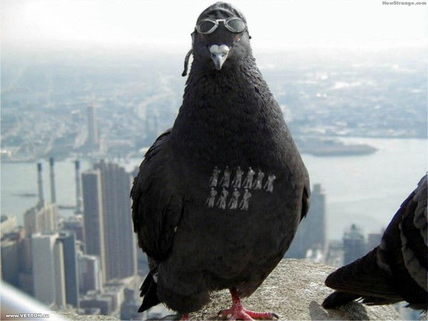 Ирина Назаренко