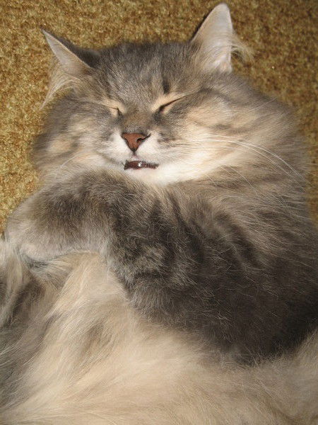 Валерий Феликсович