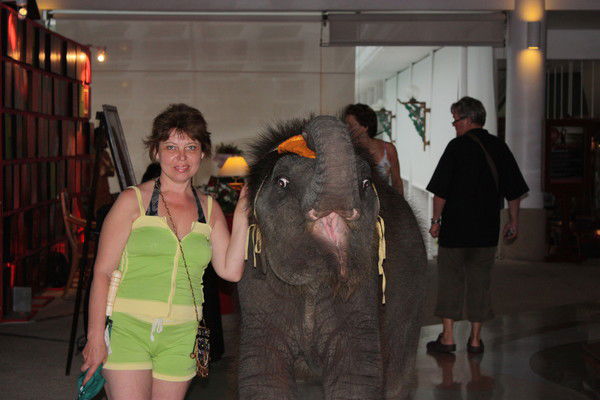 Света Петренко