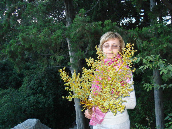 Валерия Симакова