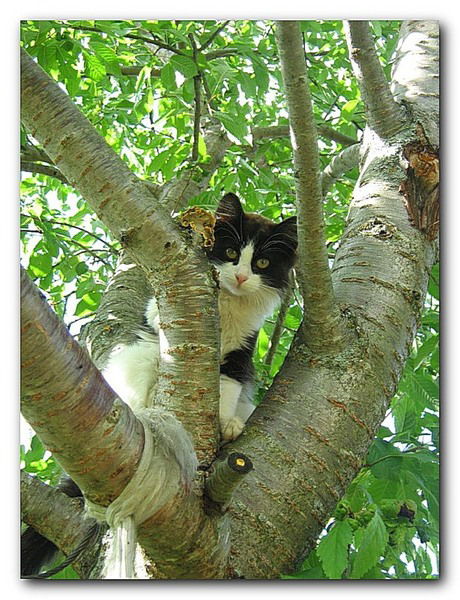 Жуляева Ольга