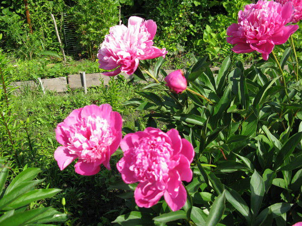 Юлия Гусева