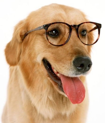 Виктор Кузьмин