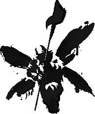 Виталий Лопатин