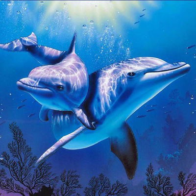 Сайлык Чебочакова