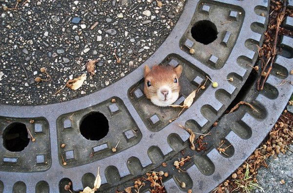 Мария Морозова