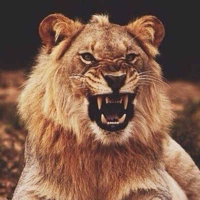 Оганес Мхеян