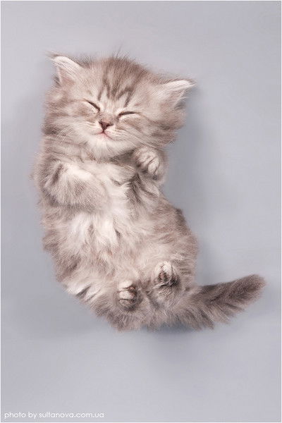 Марьям Ахмадова