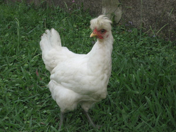 Наталья Хватова