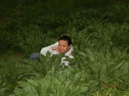 Елена Сидоренко ( Здрабова )