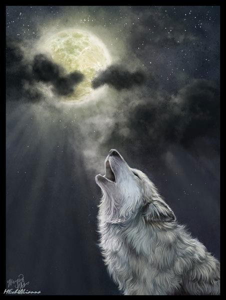 Данил Полин