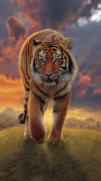 Александр Матросов