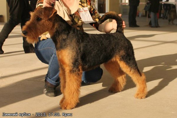 Анастасия Уткина-Шестакова