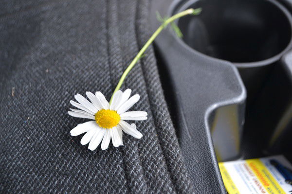 Елена Курдина