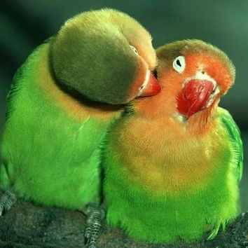 Мария Витальевна