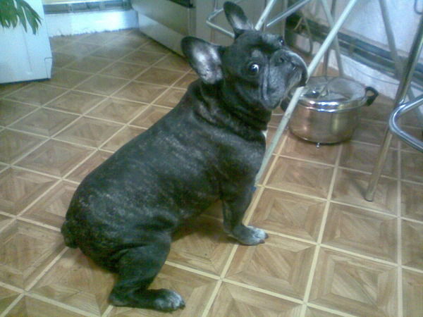 Сергей Украинцев