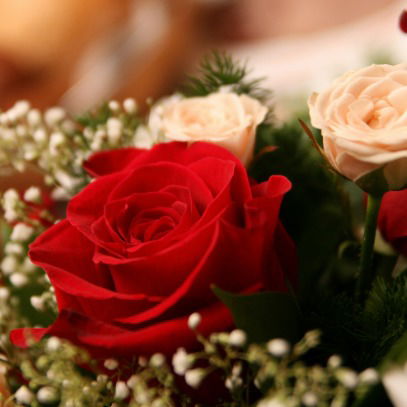 Ирина Галенко